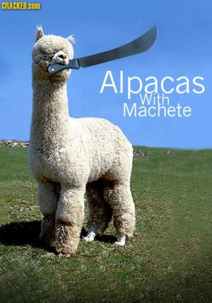 alpacas with machete