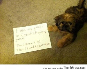 Funny Appropriate Dog Pictures Bad dog notes 1