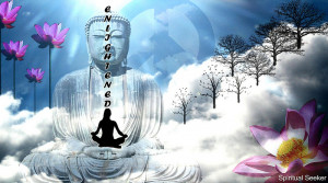 Themes: Art - Nature - Science - Buddhism - Psychology - Numerology ...