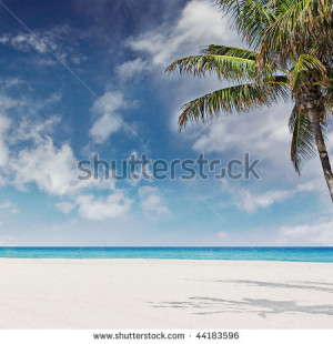 Beautiful Photo Tropical...