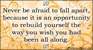 Never be afraid to fall apart, because it is an opportunity to rebuild ...
