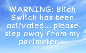 WARNING: Bitch Switch has been activated... please step away from my ...