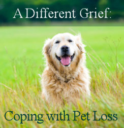 different grief coping with pet loss pet bereavement course by marty ...