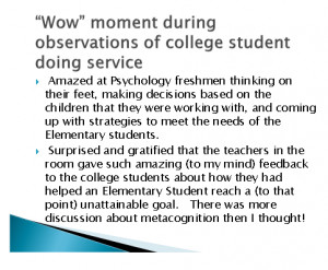 Service Learning Reflection Essays