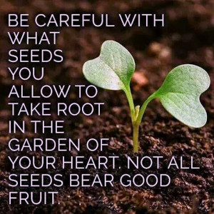 ... seeds you allow to take root in the garden of your heart not all seeds