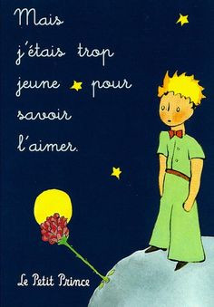 ... prince citation book film how to young flower le petit prince quotes