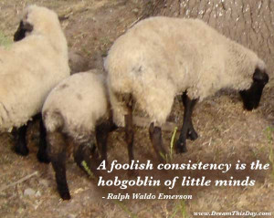 Funny Quotes about Consistency