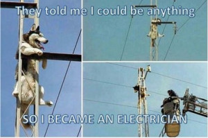 Description : funny electrician,funny quotes in spanish,funny sawal ...