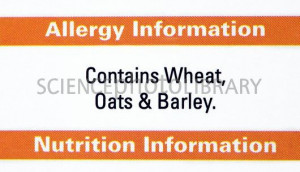 Allergens In Food Labelling