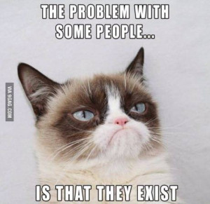 Problem with some people... - Grumpy Cat Picture