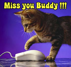 Miss you Buddy !!!.jpg 02-Jan-2015 22:34 43K