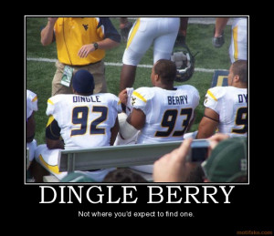 DINGLE BERRY - Not where you'd expect to find one. demotivational ...