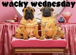 It's Wednesday, hump day, again what can we do for fun to liven up ...