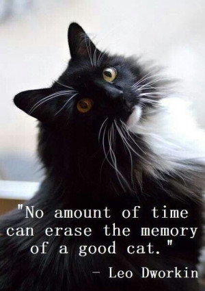 No amount of time can erase the memory of a good cat.