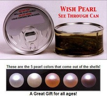 canned Genuine oyster pearl -wish pearl in Can