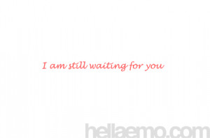 still waiting quotes