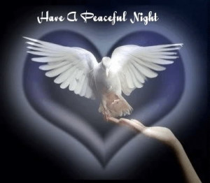 Hoping we all have a peaceful nights rest..to All!!