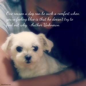 Dog Quotes