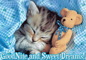 Sweet Dreams and Gud Night