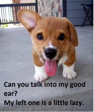 SIGN UP FOR THE NEW UBERHUMOR NEWSLETTER