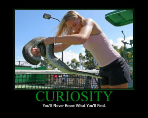 curiosity: you'll never know what you'll find