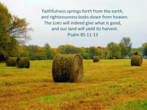 Graphics: Harvest themed scripture, copyright free