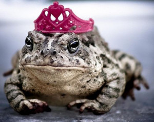 you might have to kiss a lot of frogs before you find your prince