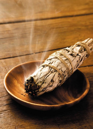 Sage is an herb that is known for its healing and medicinal properties ...