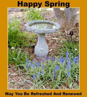 Spring is a time of renewal and new beginnings. | Comforting Quotes