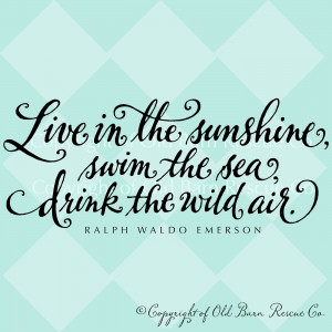 Vinyl Wall Decal - Live in the sunshine... from Old Barn Rescue ...