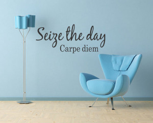 SEIZE THE DAY Carpe Diem Vinyl Wall Quote Decal Letters (214)