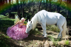 Fairies And Unicorns...