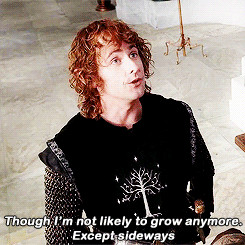 1k * lord of the rings LOTR Peregrin Took Billy Boyd Faramir pippin ...