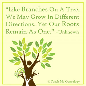 Like Branches On A Tree, We May Grow In Different Directions...