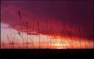prairie sunset,sask