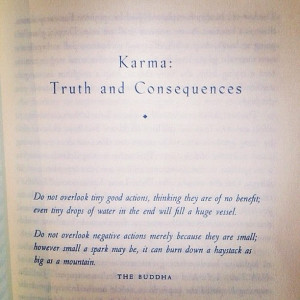 Karma: Truth & Consequences