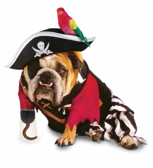 Pirate – it even comes with a peg-leg and a parrot!