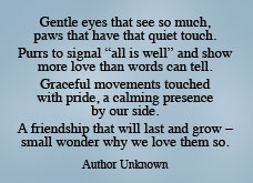 bereavement hickory pet inn understands that the loss of a pet is an ...