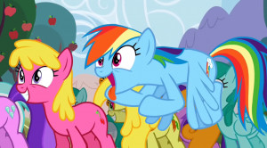 Rainbow-Dash-my-little-pony-friendship-is-magic-rainbow-dash-33122208 ...