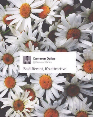 boy, cameron dallas, flowers, quotes, tumblr