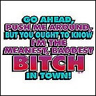 The Meanest Baddest Bitch Town Shirt Ebay