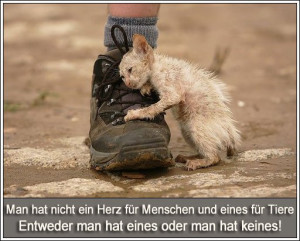 Die ganze Welt ändert sich nicht wenn ein Tier gerettet wird, aber ...