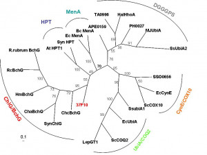 pictures antigone ismene mask