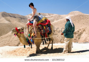 Tourist rides a camel of a Bedouin man in the Judean Desert, Israel ...