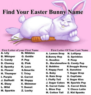 Easter Bunny Name: Snuggles, Names, Candies, Easter Bunnies, Raindrop ...