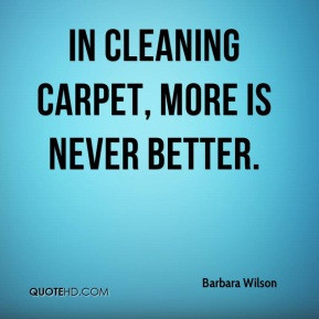 Barbara Wilson - In cleaning carpet, more is never better.