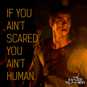 Maze Runner’ is in a theater near you!