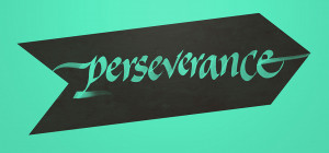 between perseverance and obstinacy is that one comes from a strong ...