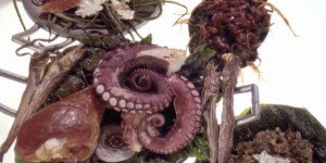 Okay Meat Eater Through And