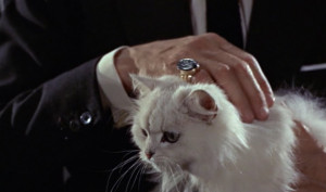 James Bond Were Animal This Cat